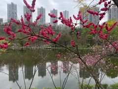 -重庆彩云湖湿地公园
