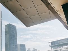 -金戈戈香港豉油鸡(皇庭广场店)