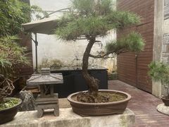 -觀芷隐轩