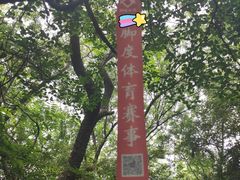 -青龙山国家森林公园