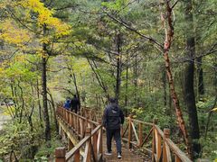 -青峰峡国家森林公园