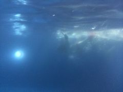 -越秀宾馆游泳馆