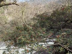 -山王坪喀斯特国家生态公园