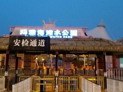 android_upload_pic-上海玛雅海滩水公园
