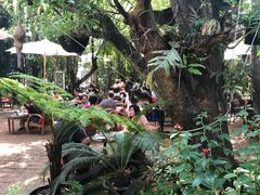 -Fern Forest Cafe