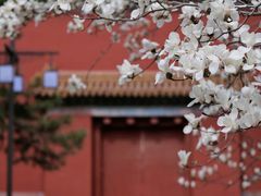 -北京市劳动人民文化宫(太庙)