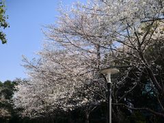 -昆山城市公园