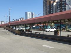 -白云驾校(樟树林校区)