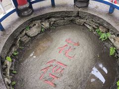 -庐山风景区花径公园