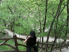 -洛阳白云山景区