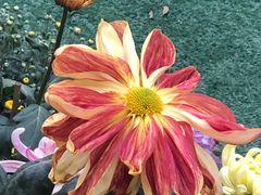 -上海市龙华烈士陵园