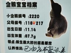 -杭州长乔极地海洋公园
