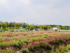 -嘉北郊野公园