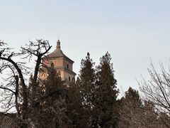 -大慈恩寺(大雁塔)