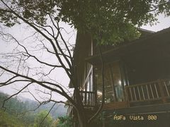 -江西阳明山国家森林公园
