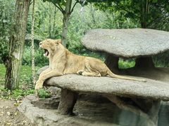 -北京野生动物园