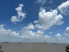 -上海滨江森林公园