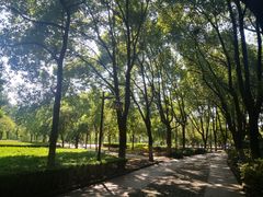 -一澜江宴·江景地标楚菜(江滩公园店)