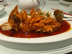 松鼠桂鱼-玫瑰厅上海菜(兴国路店)