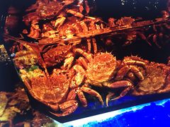 -蟹道乐(道顿堀本店)