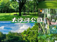 -大沙河公园