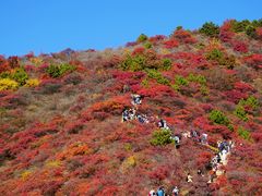 -水峪民俗村