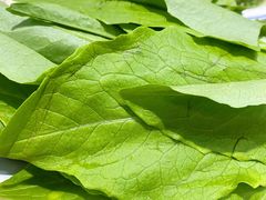 涮菜-313羊庄·羊肉火锅烧烤(李村店)