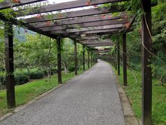 -九龙潭景区