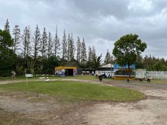 -前小桔亲子创意农场·草莓采摘·露营烧烤