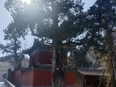 -大觉寺-停车场