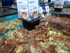 -盒马鲜生(皇庭广场店)
