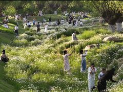 -汉长安城未央宫国家考古遗址公园