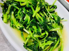 -毛草房(南辛庄街店)