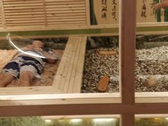 -水王国温泉水世界
