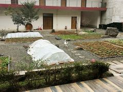 -柞水乾佑红门家菜