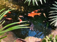 -聚缘堂·海鲜私房菜(松岭路店)