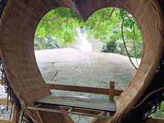 -海南霸王岭国家森林公园