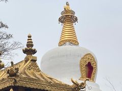 -护国法轮寺