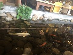 -山有花啡餐厅(常营总店)