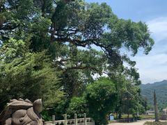 -南华寺素食馆(南华禅寺店)