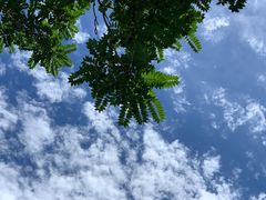 -海棠花溪(元大都城垣遗址公园)