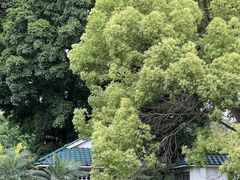 -晓港公园
