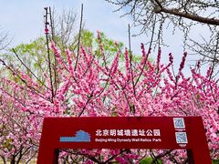 -北京明城墙遗址公园