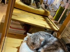 -小时光咖啡馆(开森度假森林店)