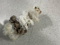 -谐和贝康宠物医院24小时·宠保定点(急重症转诊中心)