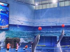 -多彩贵州城极地海洋世界