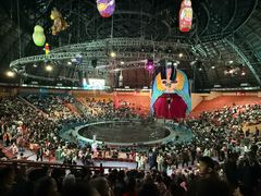 -俄罗斯国家大马戏团