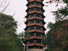 -红花山公园