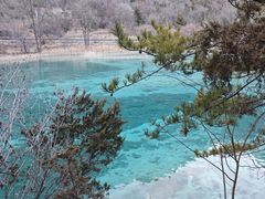 -九寨沟-树正沟