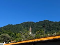 -深圳仙湖植物园